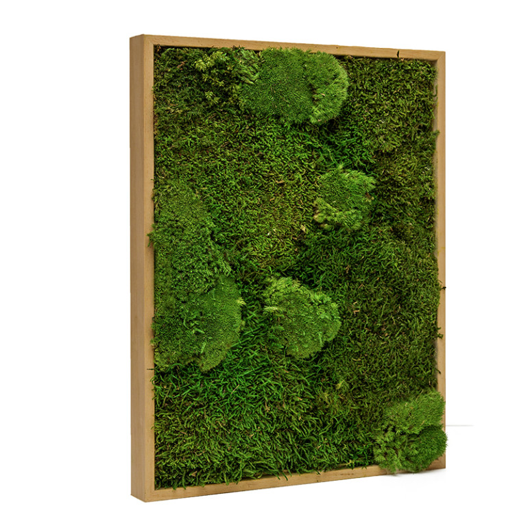 Mosschilderij Lappenmos-Bolmos 80x120 cm Eikenhout - Boras