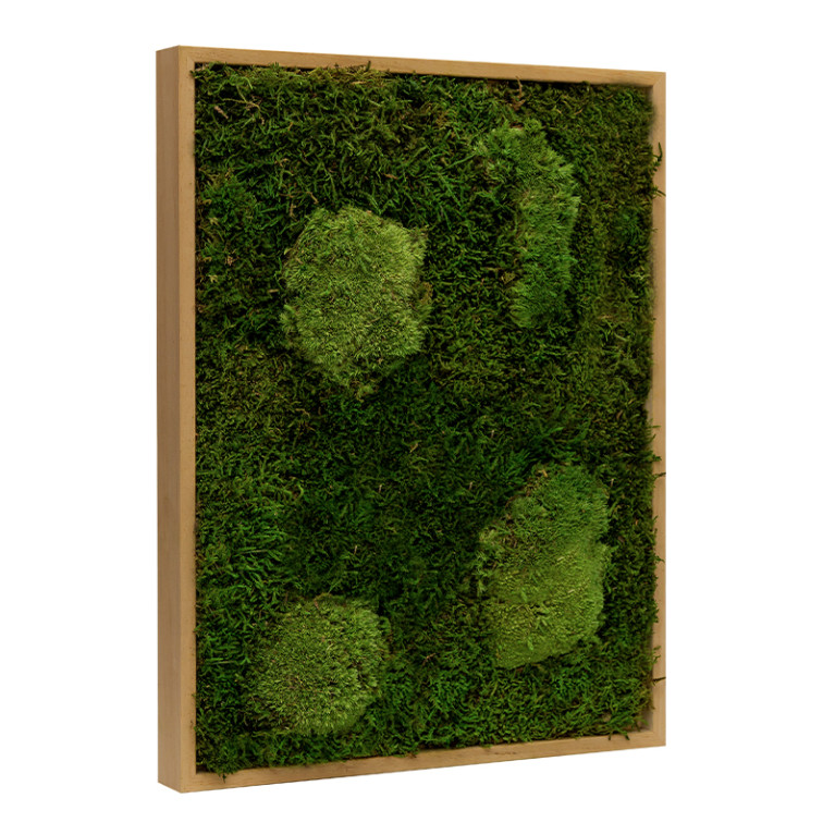 Mosschilderij Lappenmos-Bolmos Eikenhout - Viborg - Zijkant