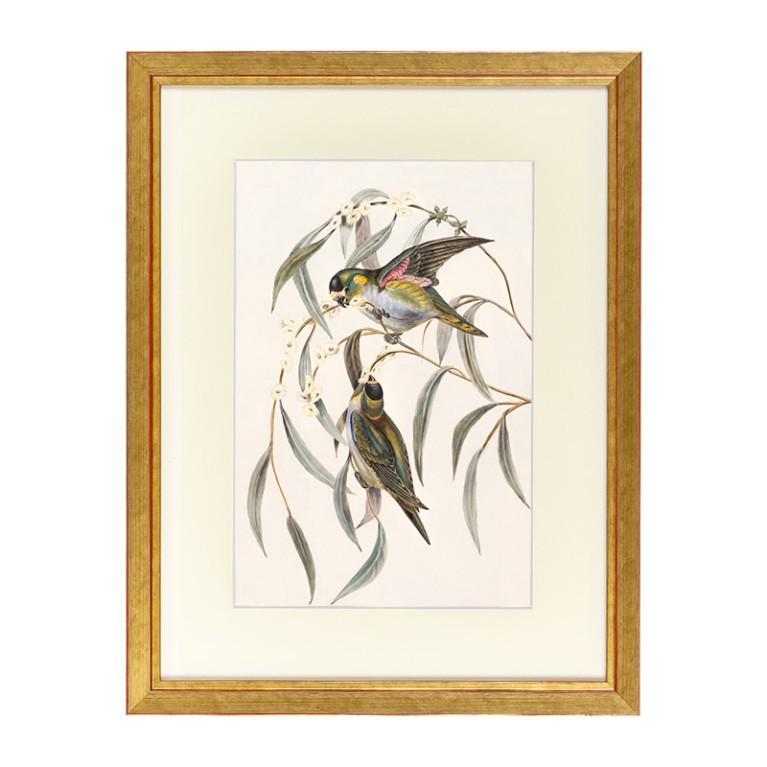 Fotolijst Tropez Goud 40x50 cm - Art Print en Passe Partout