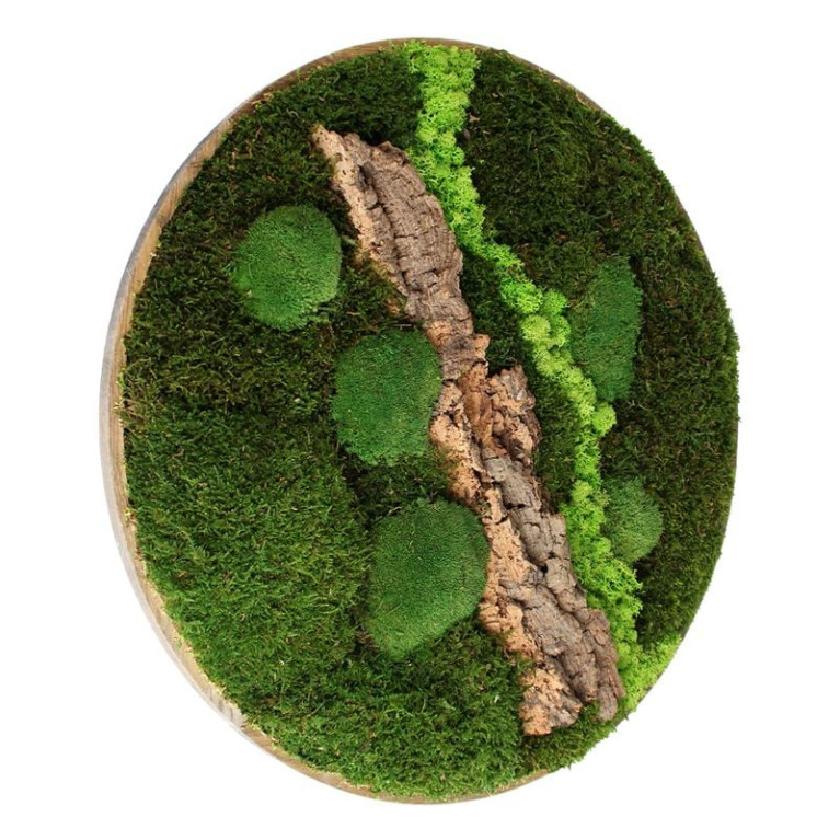 Vintlux Mosschilderij Rond 40 cm Ongelakt Eiken - Selfjord