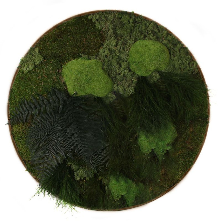Vintlux Mosschilderij Rond 60 cm Donker Eiken - Solbjerg